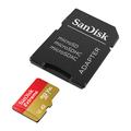 Karta pamięci SanDisk Extreme microSDXC SDSQXAV-1T00-GN6MA