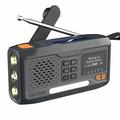 WR-6B Solar Hand Crank Emergency Radio DAB z latarką LED - czarny